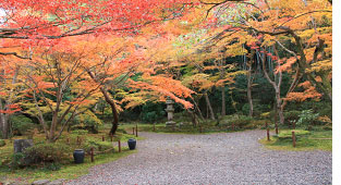 �o����@���񍐁i����24�N12��2���j