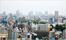 �V���E �ʓV�t