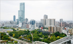 �V���E �ʓV�t