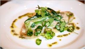 �V���E �ʓV�t